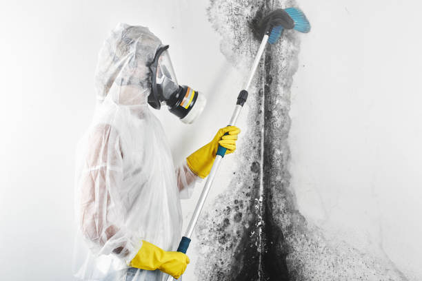 Best Mold Prevention Services  in Bayshore Gardens, FL